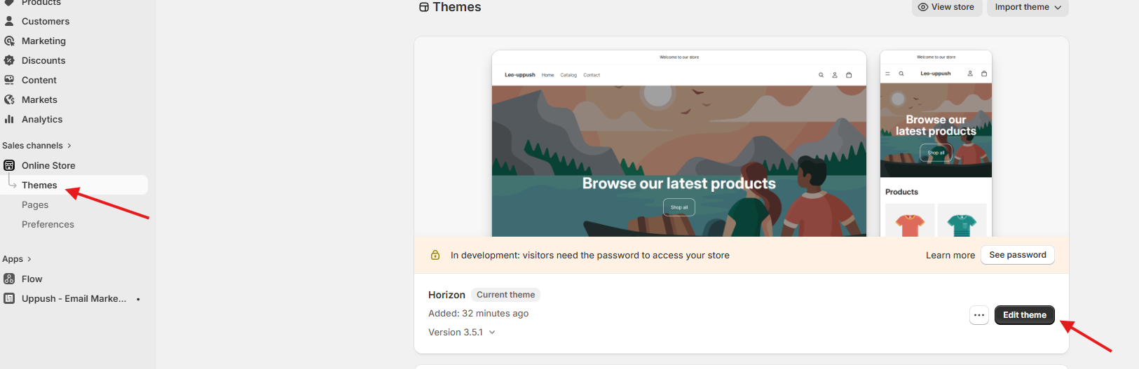 enable theme extension manual